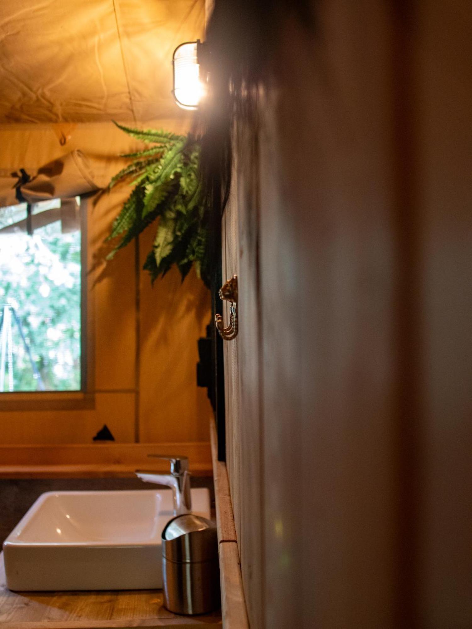 Ecolodges De Dreef レーネスセ エクステリア 写真